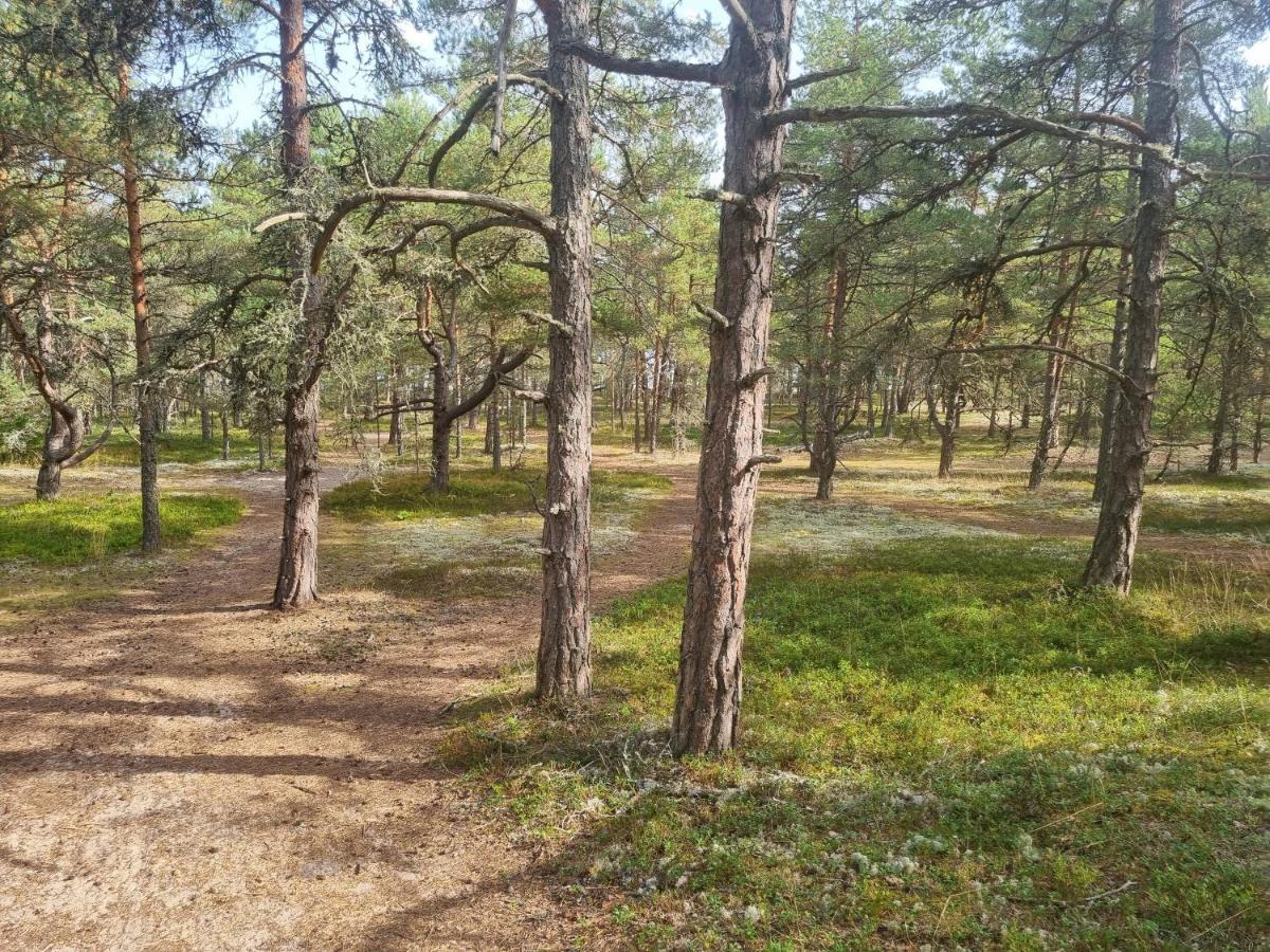 Norwegian Saunahouse Haapse Kültér fotó