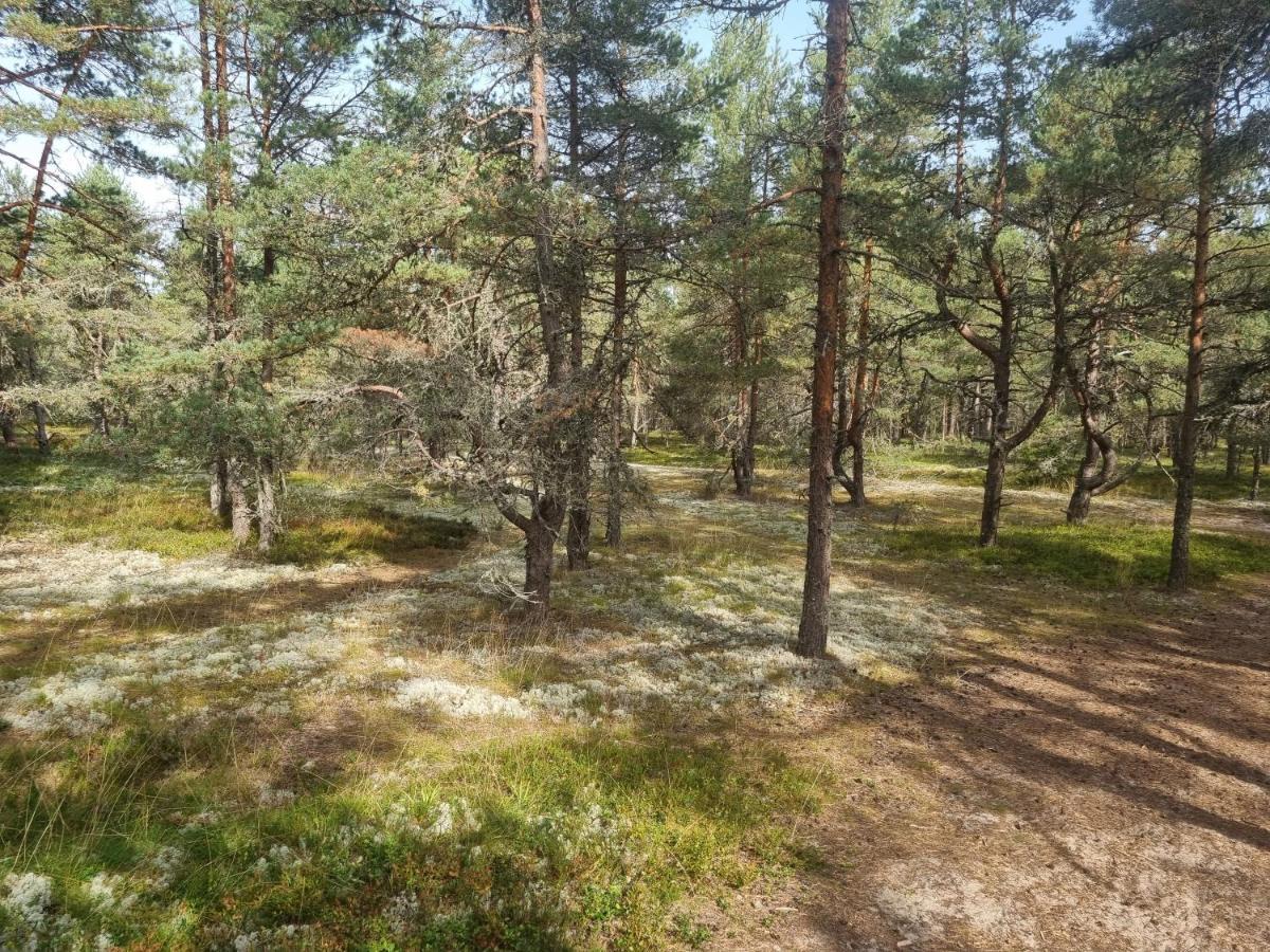 Norwegian Saunahouse Haapse Kültér fotó